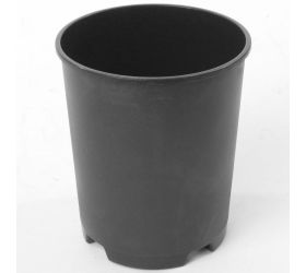 Kontajner ruže- rp - 1l