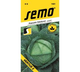 Kel neskorý vertus 1g