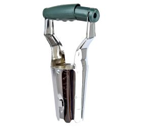 217250 sadič cibuľovín