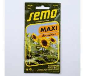 Slnečnica ročná titan f1 1,1g