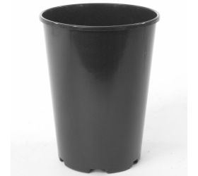 Kontajner ruže- rp - 3l