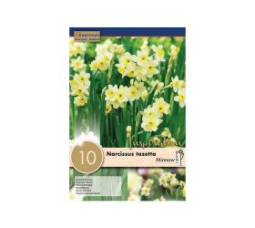 Narcis minnow 10ks