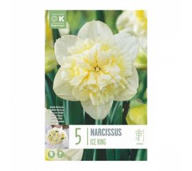 Narcis ice king 5ks
