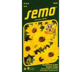 Slnečnica slabá sunny babe