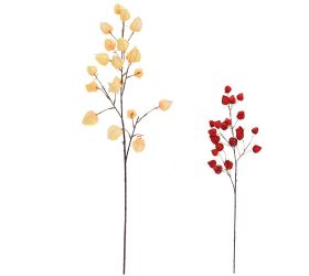 Konár physalis mix/2f 98cm
