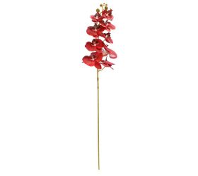 Ks orchidea phalaenopsis červená 95cm
