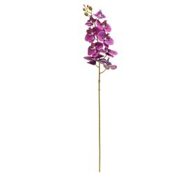 Ks orchidea phalaenopsis fialová 95cm