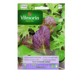 Rýchly orientálny šalát