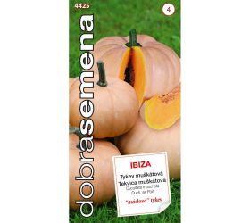 Tekvica muškátová ibiza 10s