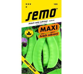 Hrach cukrový sweet salome 12s