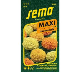 Aksamietnica vzpr. taishan f1 15s