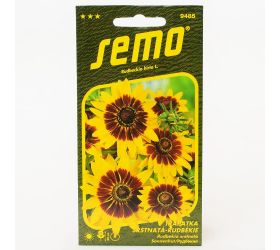 Rudbekia gloria daisy 0,5g