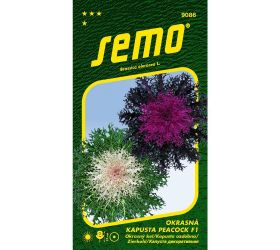 Kel okrasný peacock f1 mix 20s