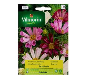 Krasuľka sea shells 0,2g
