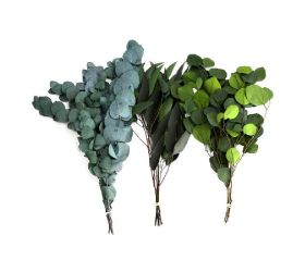 Eucalyptus box 55gr.