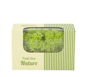 Moss reindeer jarná zelená 50gr nature 14x8x10cm