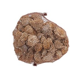 Acorn cones bielený 1kg/4-7cm