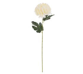 Ks chryzantéma krémová 57cm
