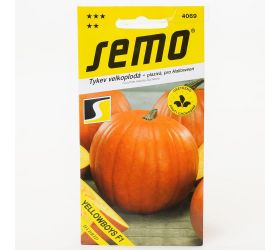 Tekvica yellowboys f1 3g