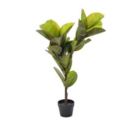 Fikus v plast.kvetináči zel.100cm