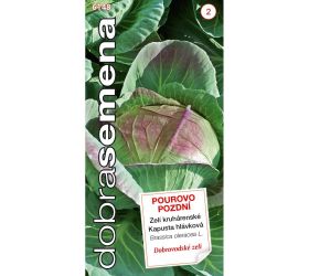 Kapusta hl. dobrov. pourovo pozdní 0,8g