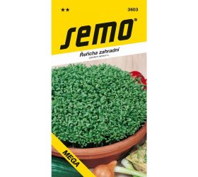 Žerucha siata mega 6g