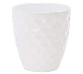 54994 obal orch. alaska weiss 632/12