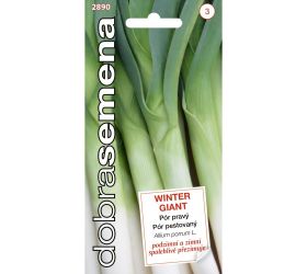 Pór zimný winter giant 1,5g