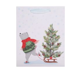Agb2017603 taška darč.  v25x20+10cm skating bear