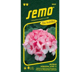 Muškát krúžk. horizon star f1 11s