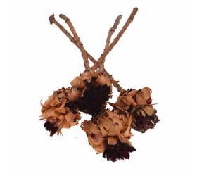 Nerifolia hnedá -s/4ks /30-35cm