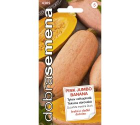 Tekvica obr.pink jumbo banana 7s