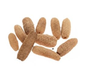 Luffa stredná 10-15cm s/10