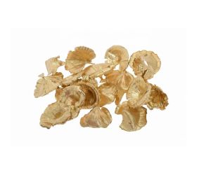 Golden mushroom gold s/20ks/5-7cm