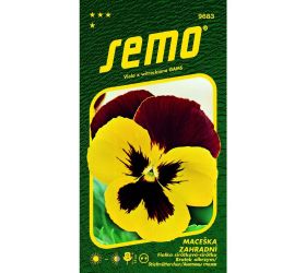 Sirôtka veľkokvetá mistral s1 žlto červená 35s