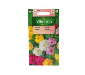 Nocovka jalapovitá 2g