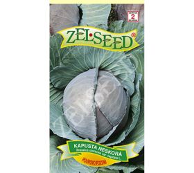 Kapusta pourovo pozdní 0,8g