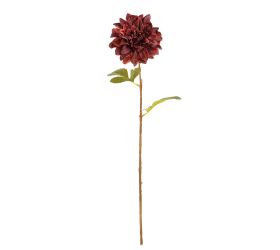 Ks dalia ora/bor metal 61cm