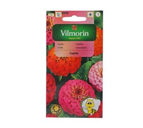 Cínia cupido mix 1g