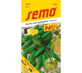 Uhorka nakl charlotte f1 1,5g