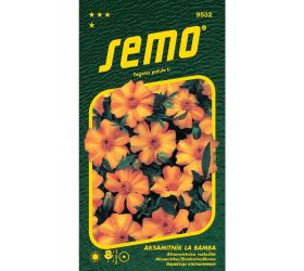 Aksamietnica rozlož. la bamba 0,20s.