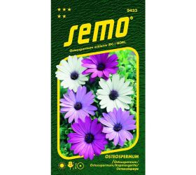 Osteospermum balade mix 0,3g