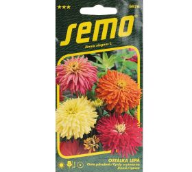 Cínia kaktusokvetá 0,7g