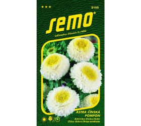 Astrovka čínska pompon white and yellow 0,5g