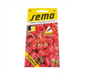 Paprika pumpkin f1 15s