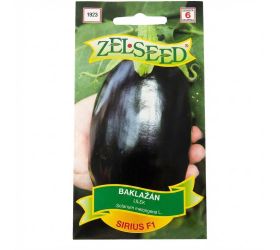 Baklažán sirius f1 20s