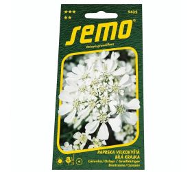 Lúčovka biela krajka 1g