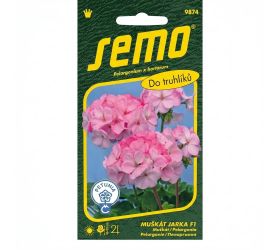 Muškát krúžk.jarka f1 11s