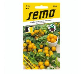 Rajčiak kríč.minigelbus f1 40s