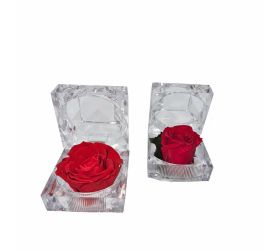 Ruža preparovaná v krabičke červená/ks